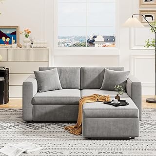 Cloud Modular Sectional Sofa,Comfy Minimalist Velvet Fabric Couch for Living Room,2 Seater+ 1 Ottoman Couches with Thick Cushion,Sofa Cover Washable and Seats Storage(Light Gray, 2-seat+Ottoman)